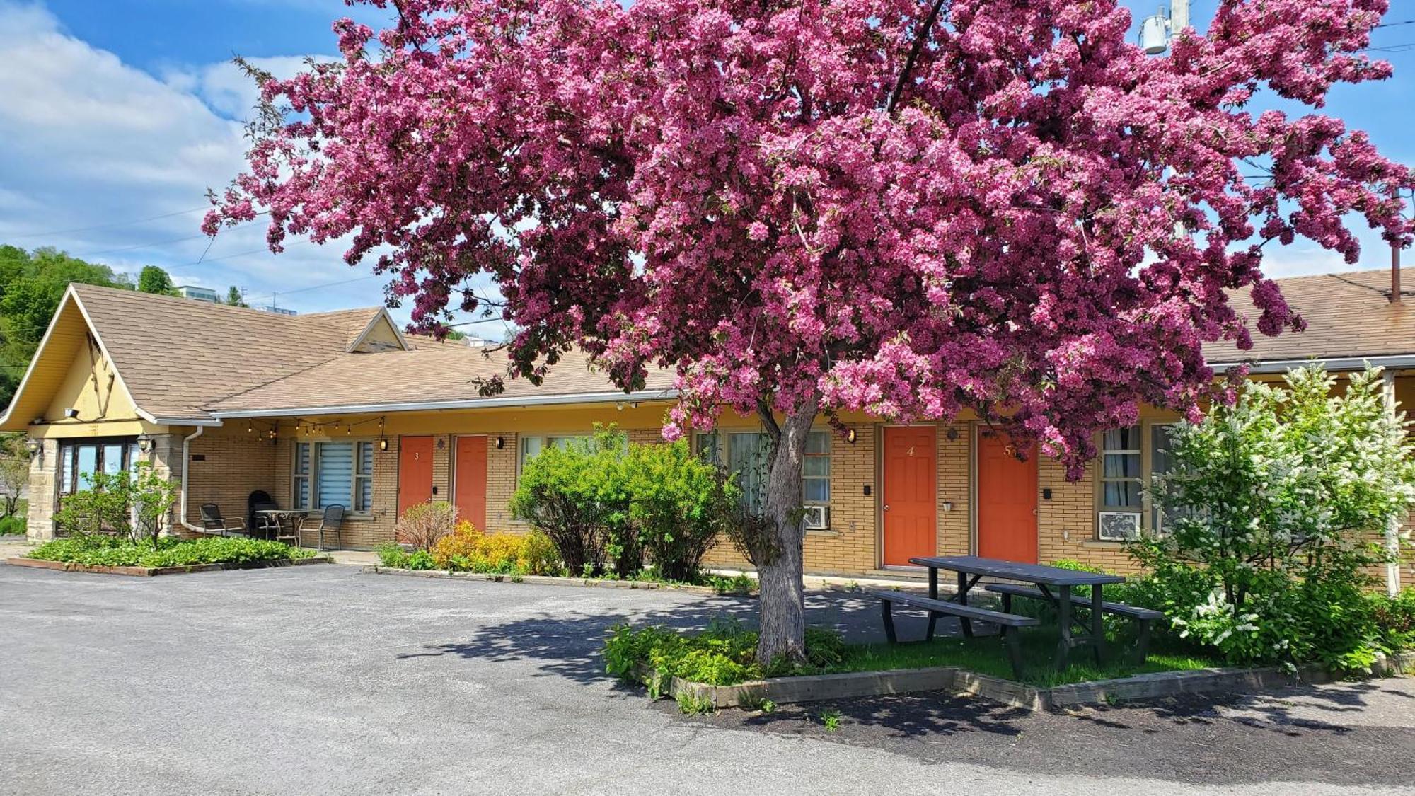 Motel Lofts Fleuve Et Montagnes Sainte-Anne-de-Beaupré Esterno foto